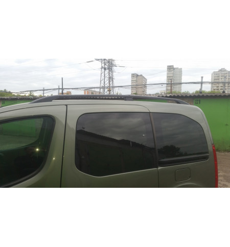 Рейлинги TAMSAN на Nissan NOTE 2006—2013 Арт. 5009901B в Самаре